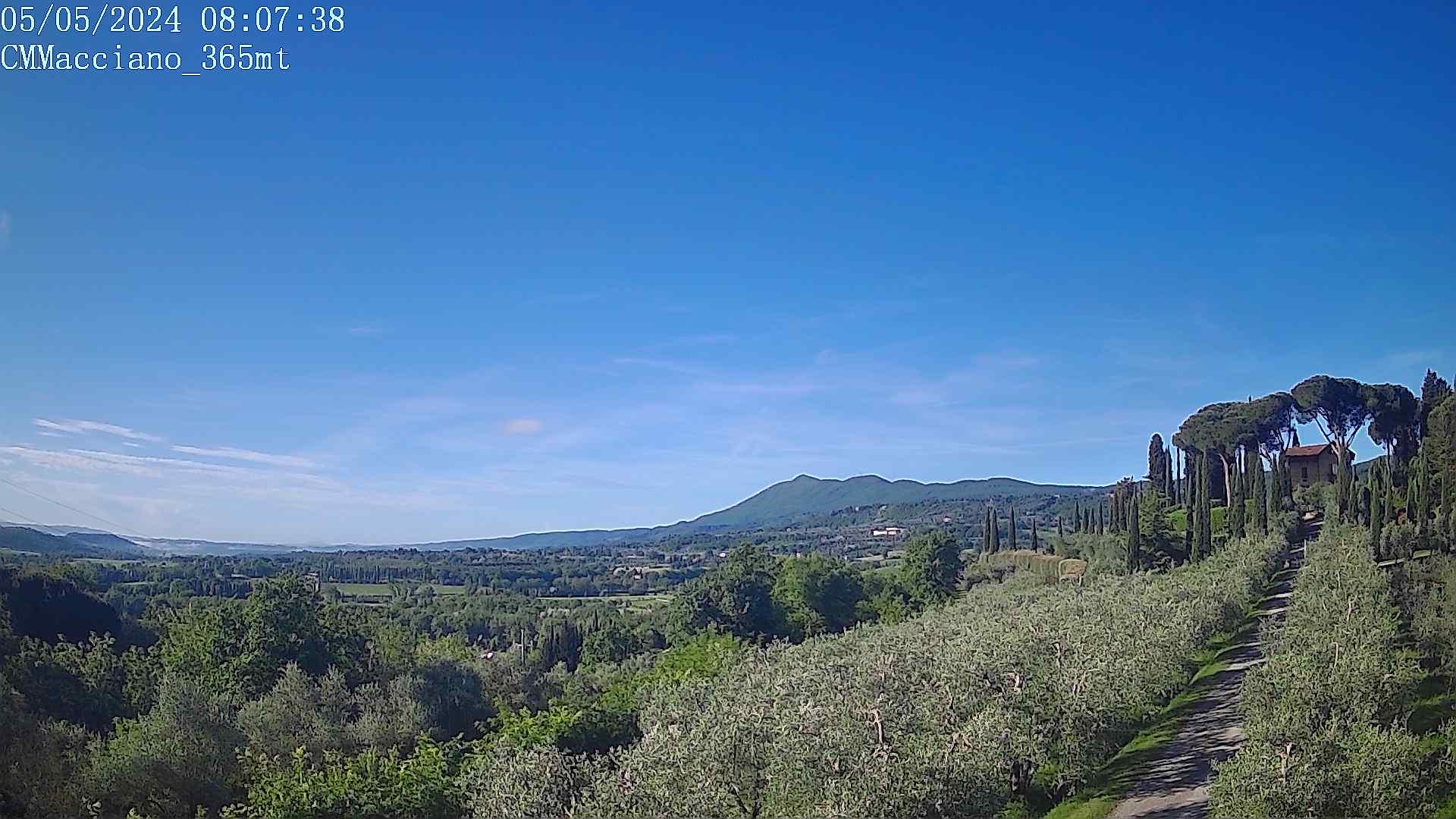 Webcam Macciano, Siena